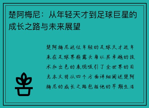 楚阿梅尼：从年轻天才到足球巨星的成长之路与未来展望