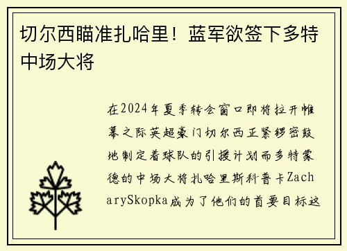 切尔西瞄准扎哈里！蓝军欲签下多特中场大将