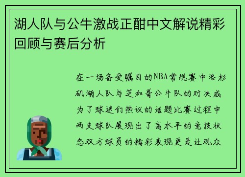 湖人队与公牛激战正酣中文解说精彩回顾与赛后分析
