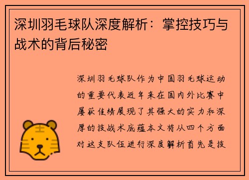 深圳羽毛球队深度解析：掌控技巧与战术的背后秘密