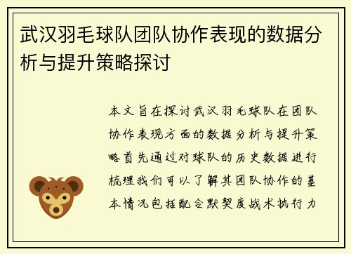 武汉羽毛球队团队协作表现的数据分析与提升策略探讨